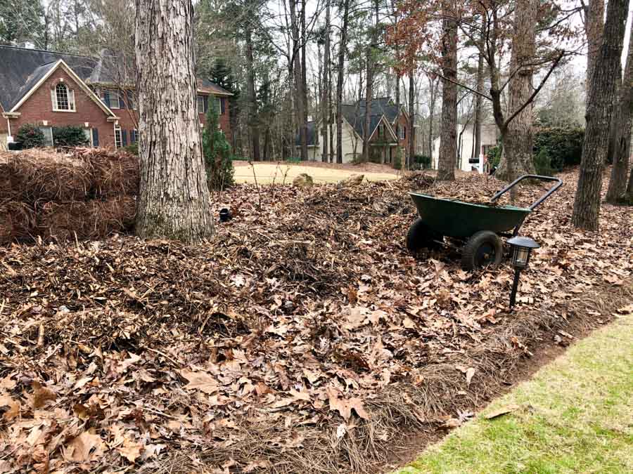 Front yard adding mulch to create a berm.