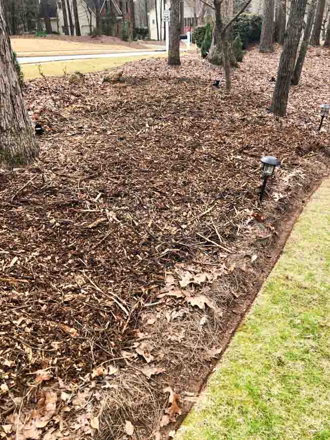 Leveling out mulch to create a berm in front landscape