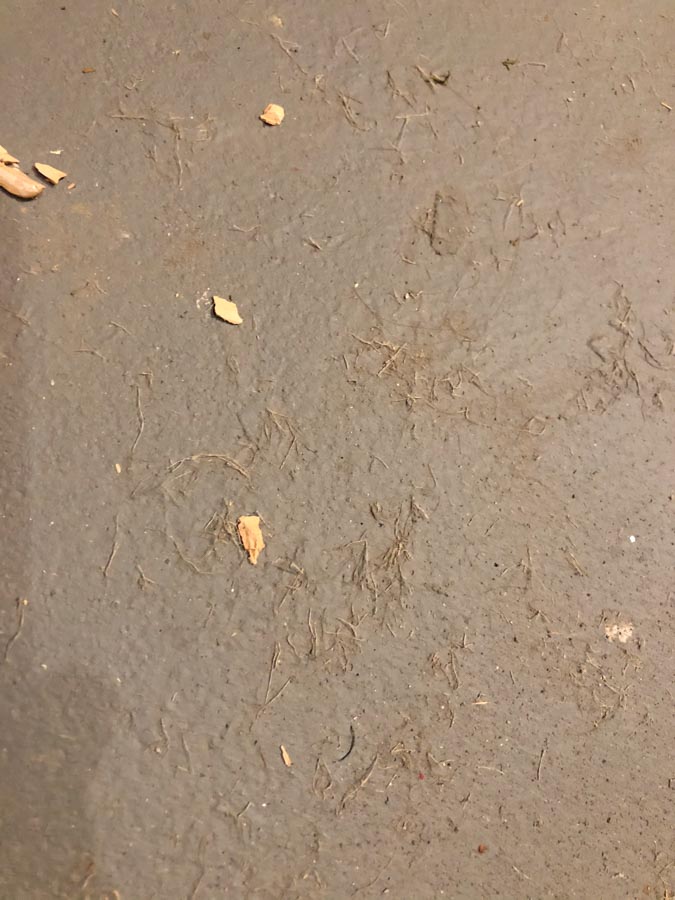 Gross Floor