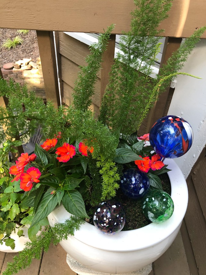 Bright orange flowers